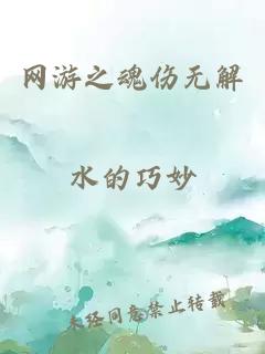 网游之魂伤无解